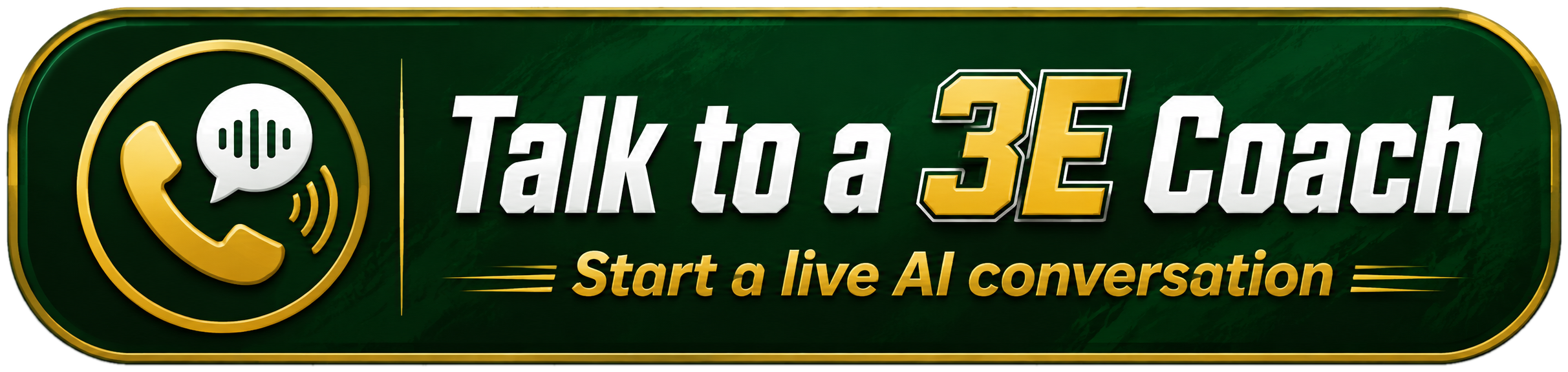 Talk to a 3E Coach. Start a live AI conversation.