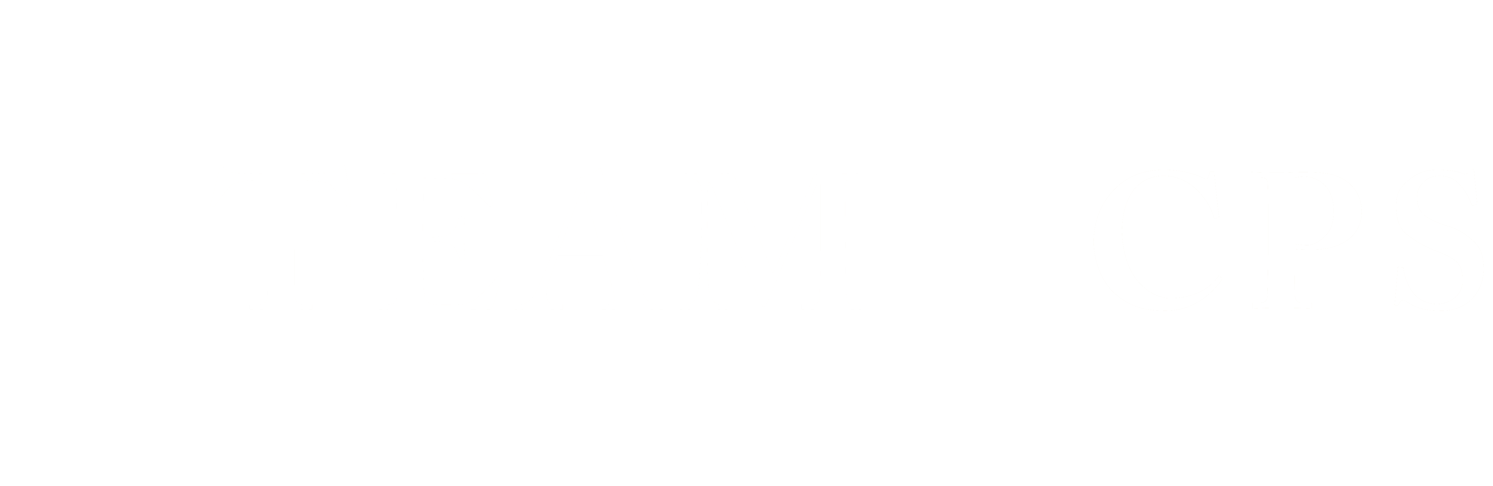 Team LCPS logo